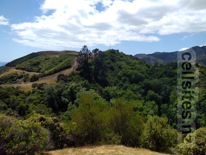 JDA Kaka Hill